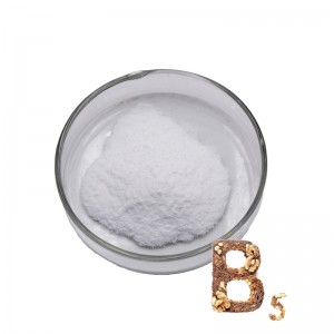 Poudre de vitamine B5 en vrac d'alimentation d'usine 99% d'acide pantothénique D-Calcium Pantothenat Poudre