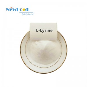 NewFood Food Additive Food Grade Regular Stock Lysine /L-Lysine HCL