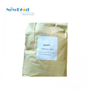 NewFood Food Additive Best Price Regular Stock Gelatin Powder