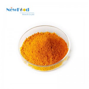 NewFood Best Price Bulk Pure Vitamin B2 Powder 98% Food Grade Riboflavin-5-Phosphate Powder VB2