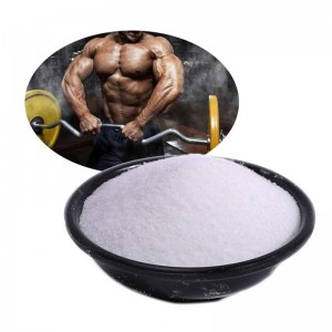 Thực phẩm bổ sung dinh dưỡng cấp độ bột L-Glutamine