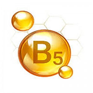 Poudre de vitamine B5 en vrac d'alimentation d'usine 99% d'acide pantothénique D-Calcium Pantothenat Poudre