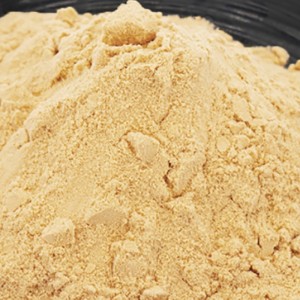 NewFood Food Additive Top Quality Food Grade 98% Bulk Soy Lecithin Powder