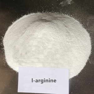 NewFood Food Additive Food Grade High Quality L-Arginine Powder