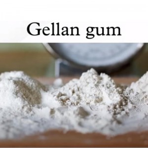 Lebensmittelzusatzstoff Verdickungsmittel Low Acylm Gellan Gum Powder