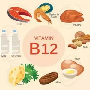 NewFood Factory Cheap Price Directly Supply Vitamin B12 Powder